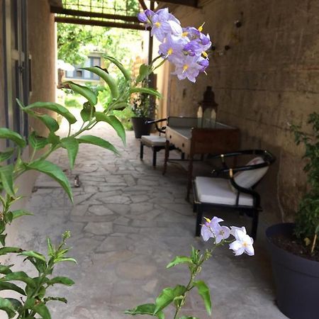 Un Jardin En Ville Sarlat-la-Caneda Exterior photo